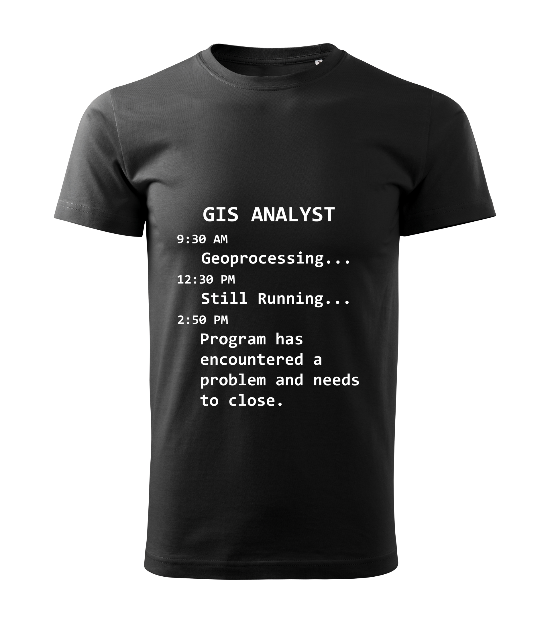 GIS Analyst